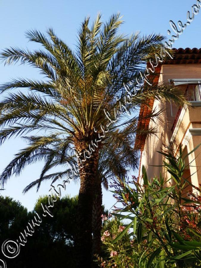 Appartement Magnifique Parc De La Presqu'île Avec Piscine Et Face à Porquerolles ! Hyères